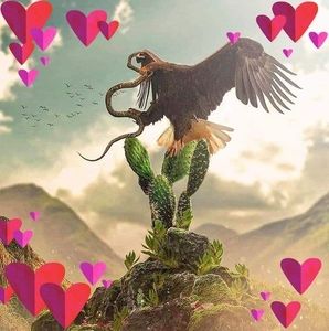 Meet your Posher, Miguel